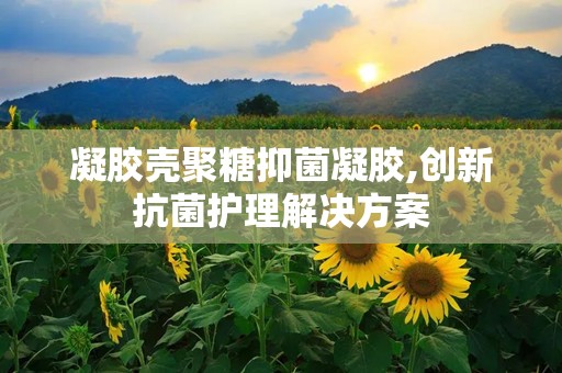 凝胶壳聚糖抑菌凝胶,创新抗菌护理解决方案