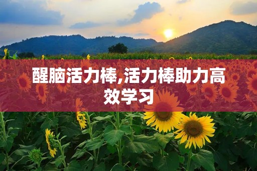 醒脑活力棒,活力棒助力高效学习