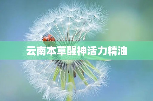 云南本草醒神活力精油
