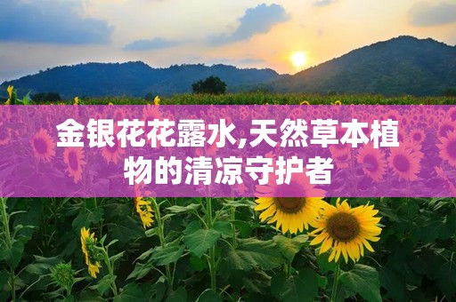 金银花花露水,天然草本植物的清凉守护者