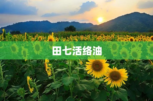 田七活络油
