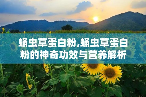 蛹虫草蛋白粉,蛹虫草蛋白粉的神奇功效与营养解析