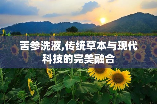 苦参洗液,传统草本与现代科技的完美融合