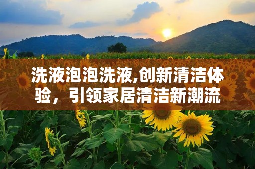 洗液泡泡洗液,创新清洁体验，引领家居清洁新潮流