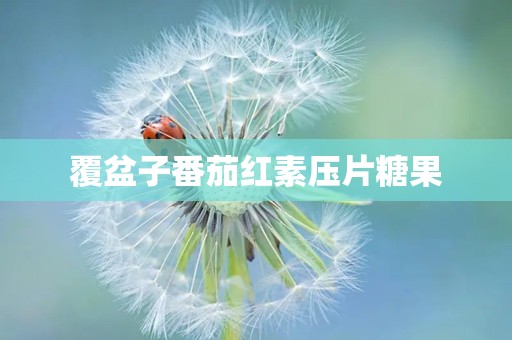 覆盆子番茄红素压片糖果