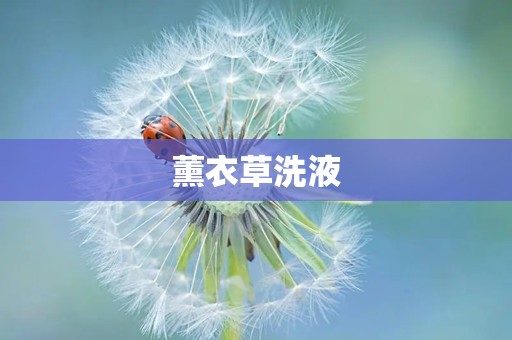 薰衣草洗液