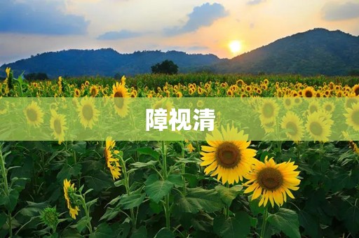 障视清