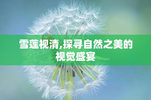 雪莲视清,探寻自然之美的视觉盛宴