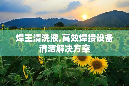 焊王清洗液,高效焊接设备清洁解决方案