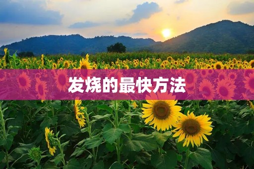 发烧的最快方法