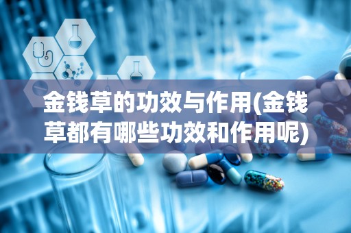 金钱草的功效与作用(金钱草都有哪些功效和作用呢)