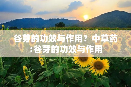 谷芽的功效与作用？中草药:谷芽的功效与作用