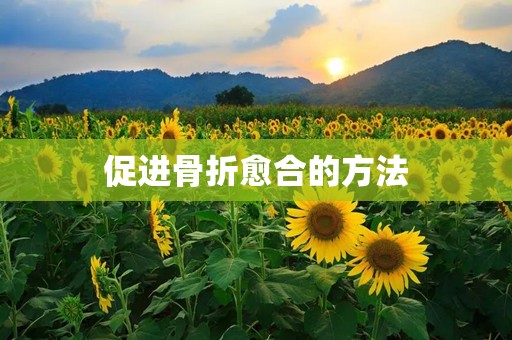 促进骨折愈合的方法