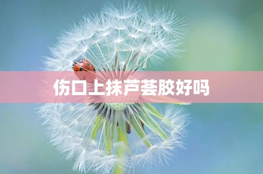 伤口上抹芦荟胶好吗