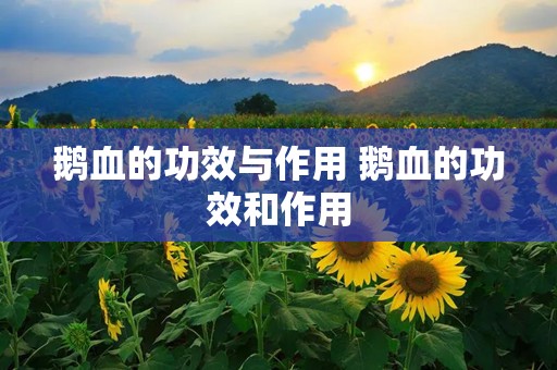 鹅血的功效与作用 鹅血的功效和作用
