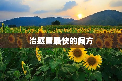 治感冒最快的偏方