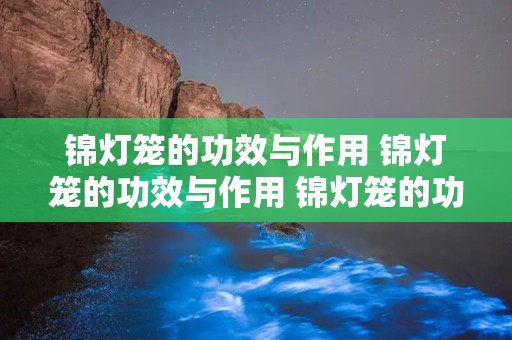 锦灯笼的功效与作用 锦灯笼的功效与作用 锦灯笼的功效与作用介绍