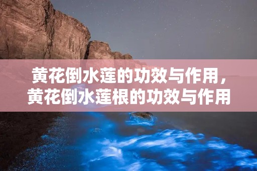 黄花倒水莲的功效与作用，黄花倒水莲根的功效与作用 跟随我来了解一下吧!