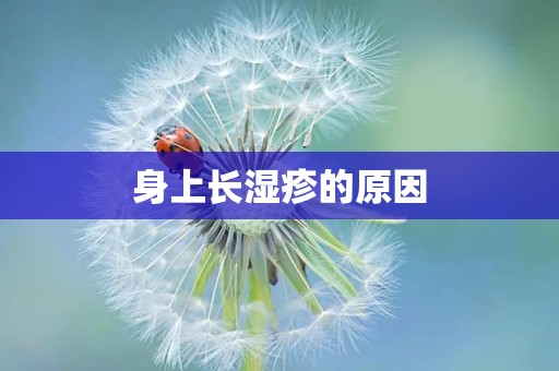 身上长湿疹的原因