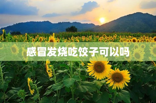 感冒发烧吃饺子可以吗
