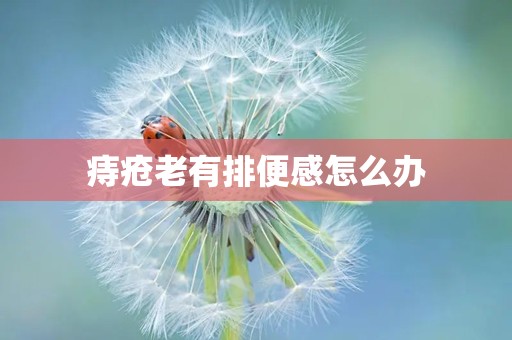 痔疮老有排便感怎么办
