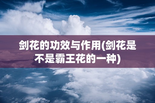 剑花的功效与作用(剑花是不是霸王花的一种)