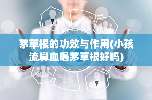 茅草根的功效与作用(小孩流鼻血喝茅草根好吗)