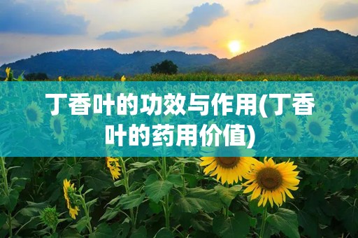 丁香叶的功效与作用(丁香叶的药用价值)