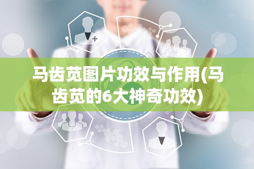 马齿苋图片功效与作用(马齿苋的6大神奇功效)
