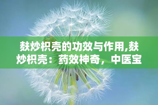 麸炒枳壳的功效与作用,麸炒枳壳：药效神奇，中医宝库中的瑰宝