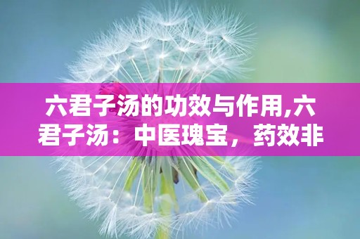 六君子汤的功效与作用,六君子汤：中医瑰宝，药效非凡！