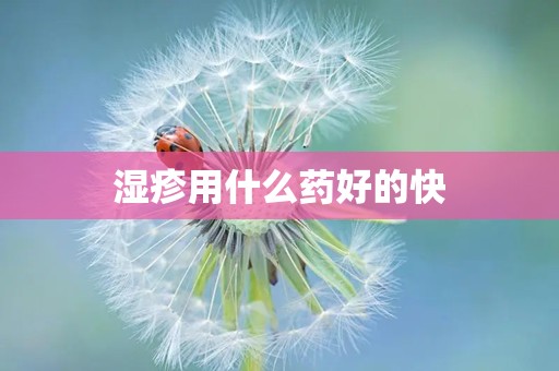 湿疹用什么药好的快