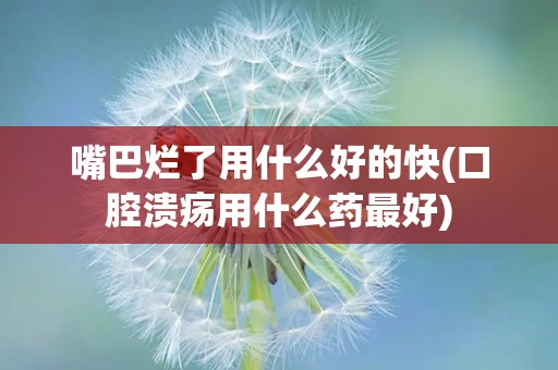 嘴巴烂了用什么好的快(口腔溃疡用什么药最好)