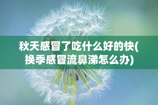 秋天感冒了吃什么好的快(换季感冒流鼻涕怎么办)