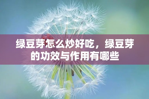 绿豆芽怎么炒好吃，绿豆芽的功效与作用有哪些