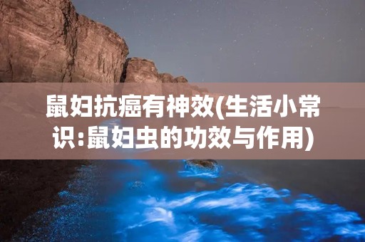 鼠妇抗癌有神效(生活小常识:鼠妇虫的功效与作用)