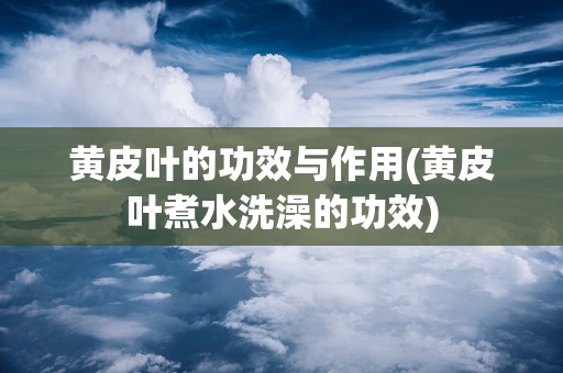 黄皮叶的功效与作用(黄皮叶煮水洗澡的功效)