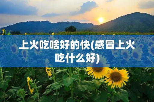 上火吃啥好的快(感冒上火吃什么好)