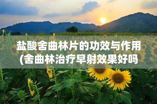 盐酸舍曲林片的功效与作用(舍曲林治疗早射效果好吗)
