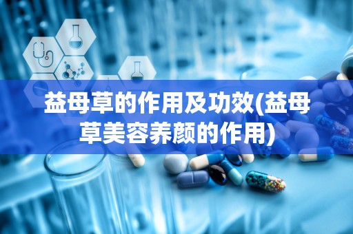益母草的作用及功效(益母草美容养颜的作用)