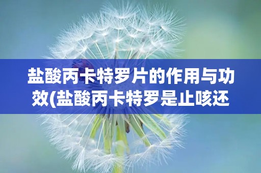 盐酸丙卡特罗片的作用与功效(盐酸丙卡特罗是止咳还是化痰)