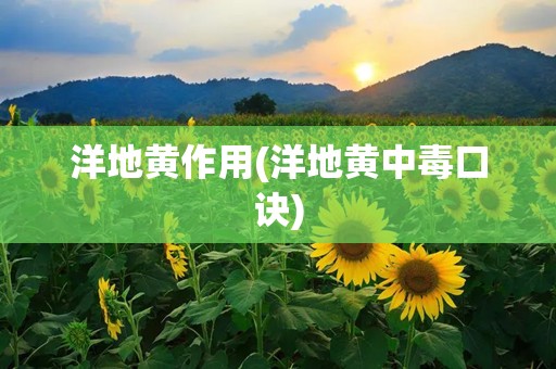 洋地黄作用(洋地黄中毒口诀)