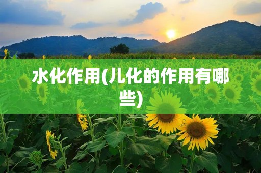 水化作用(儿化的作用有哪些)
