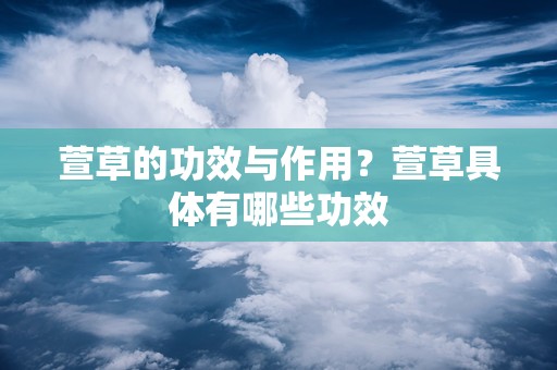 萱草的功效与作用？萱草具体有哪些功效