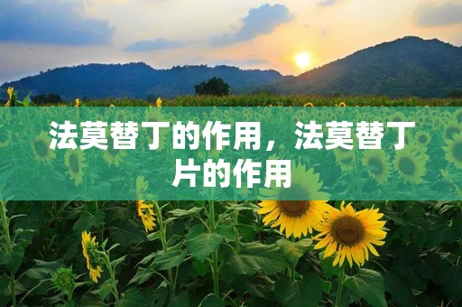 法莫替丁的作用，法莫替丁片的作用