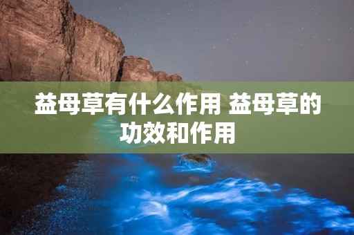 益母草有什么作用 益母草的功效和作用