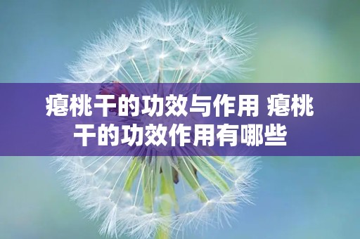 瘪桃干的功效与作用 瘪桃干的功效作用有哪些