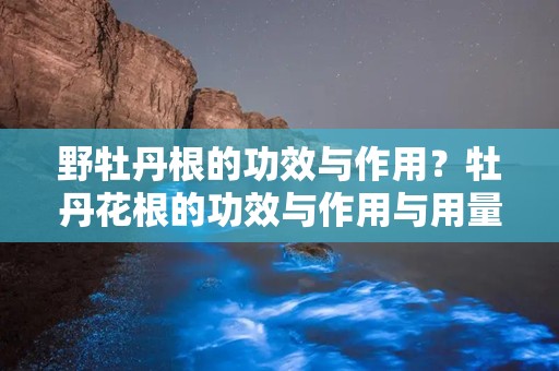 野牡丹根的功效与作用？牡丹花根的功效与作用与用量是什么