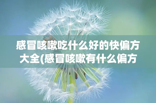 感冒咳嗽吃什么好的快偏方大全(感冒咳嗽有什么偏方)