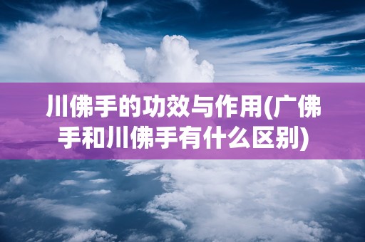 川佛手的功效与作用(广佛手和川佛手有什么区别)